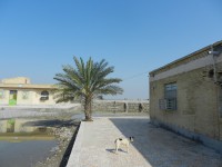 /album/kargan%2c-southern-iran-%d8%a8%d9%86%d8%af%d8%b1-%da%a9%d8%b1%da%af%d8%a7%d9%86/kargan-souther-iran-feb2014-55-jpg1/